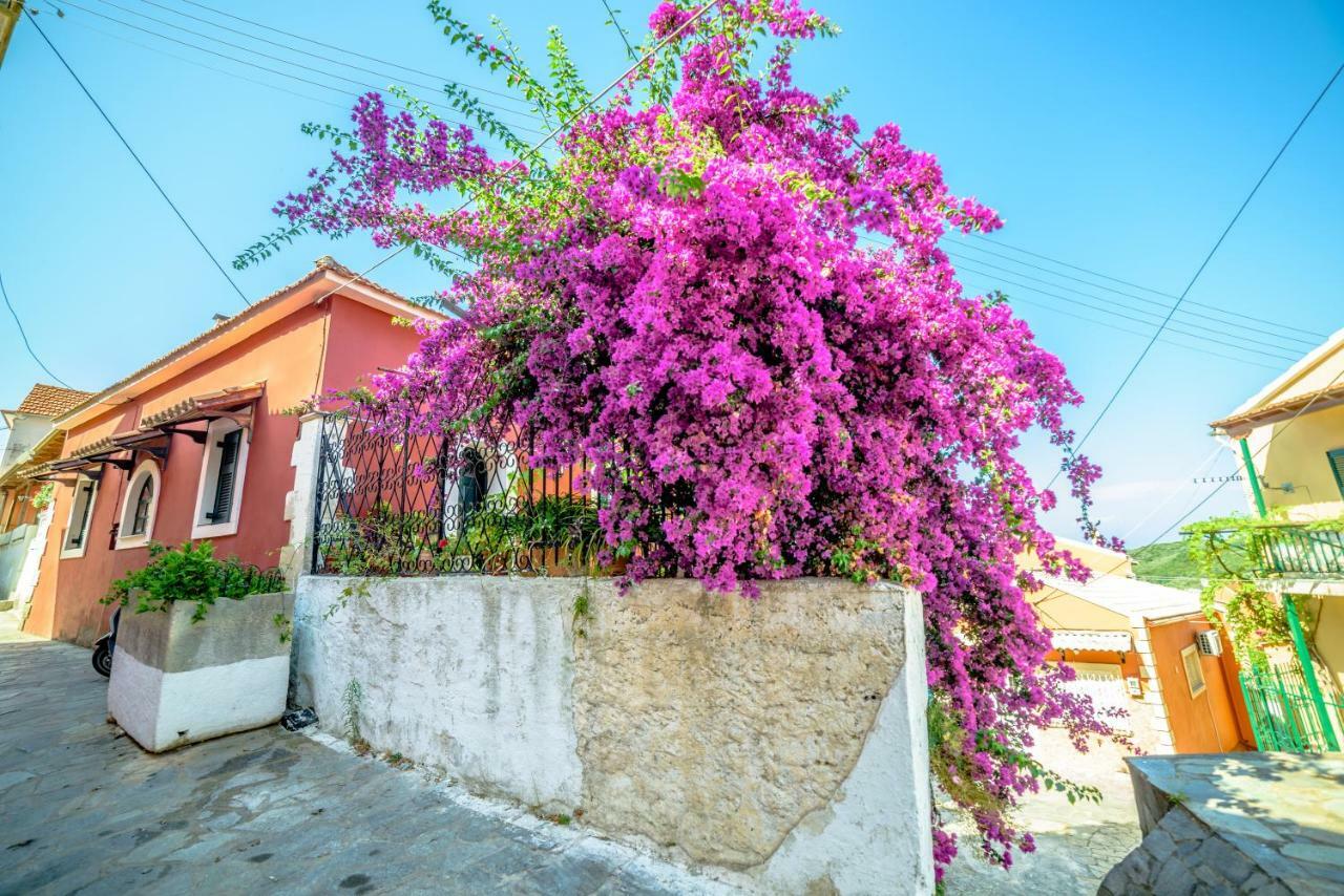 Menecrates Rustic - San Matteo Daire Ágios Matthaíos Dış mekan fotoğraf
