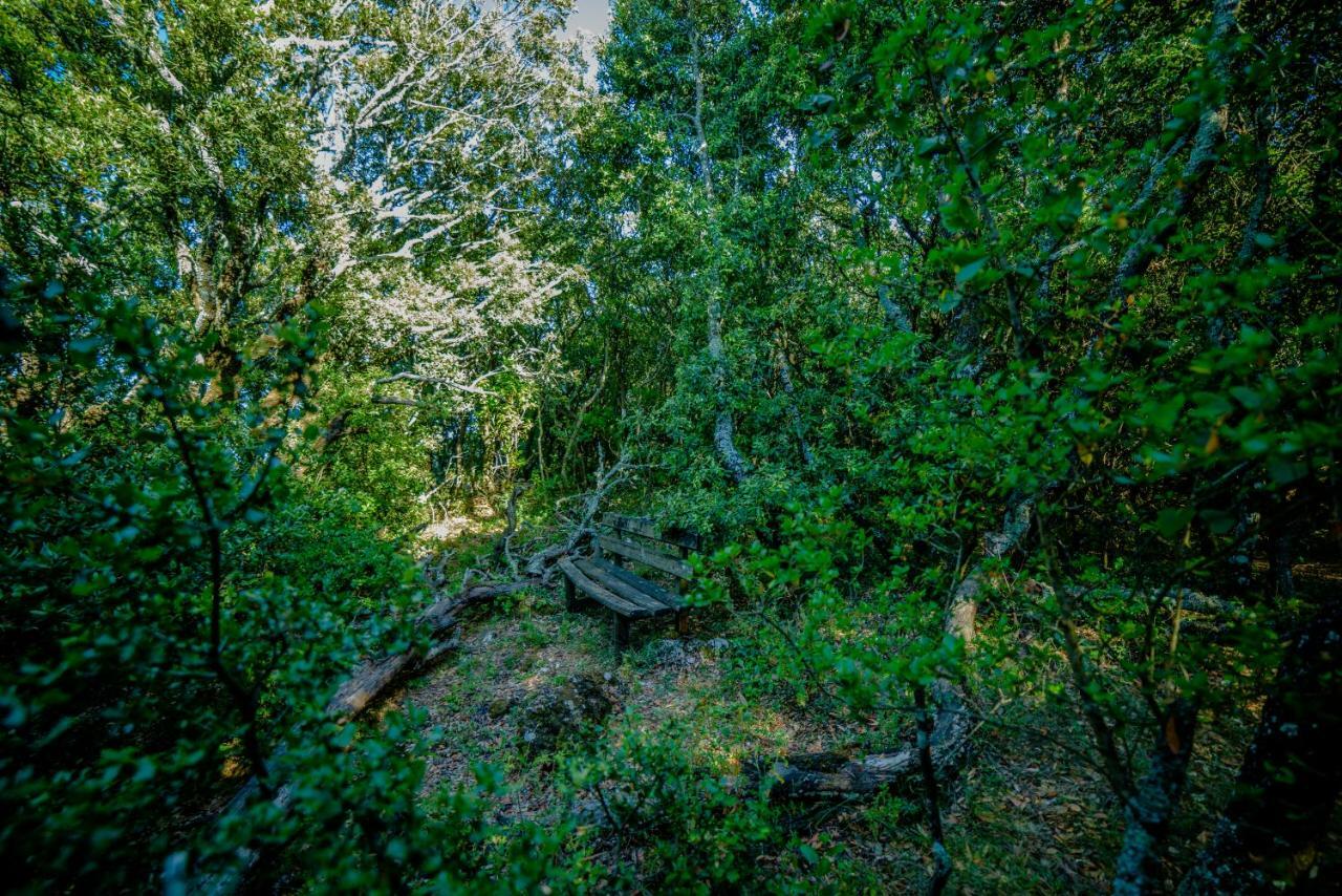 Menecrates Rustic - San Matteo Daire Ágios Matthaíos Dış mekan fotoğraf